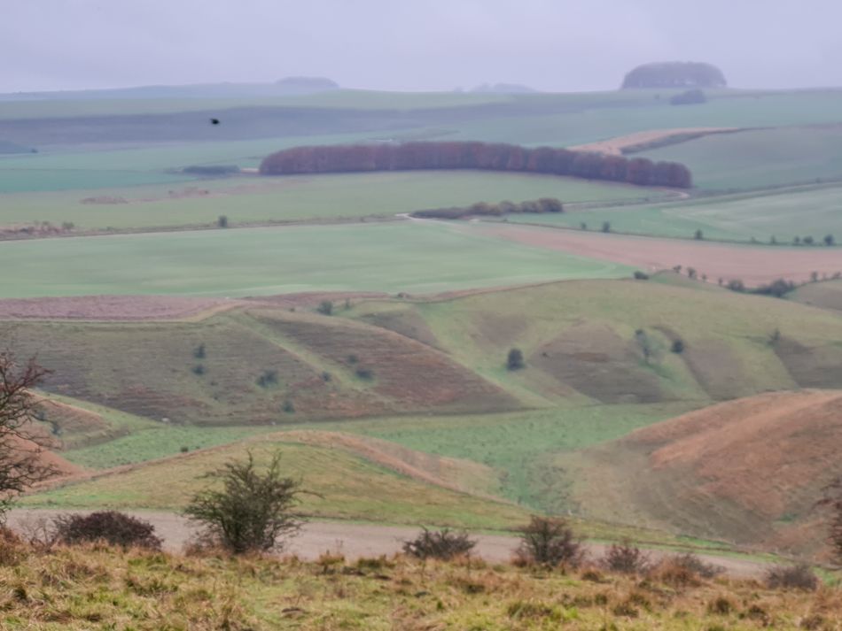 2021-11-20 27 Calstone Down.jpg