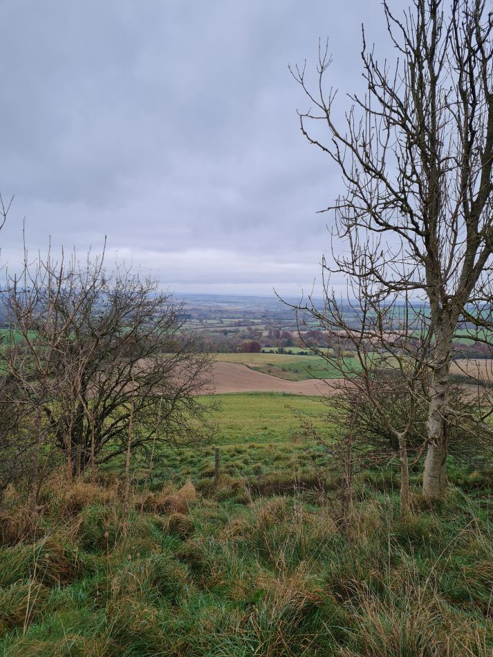 2021-11-20 29 Calstone Down.jpg