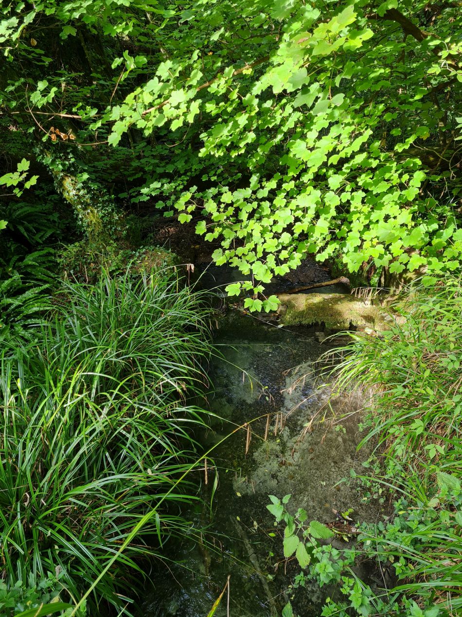 2022-09-22 27 Calstone Down.jpg