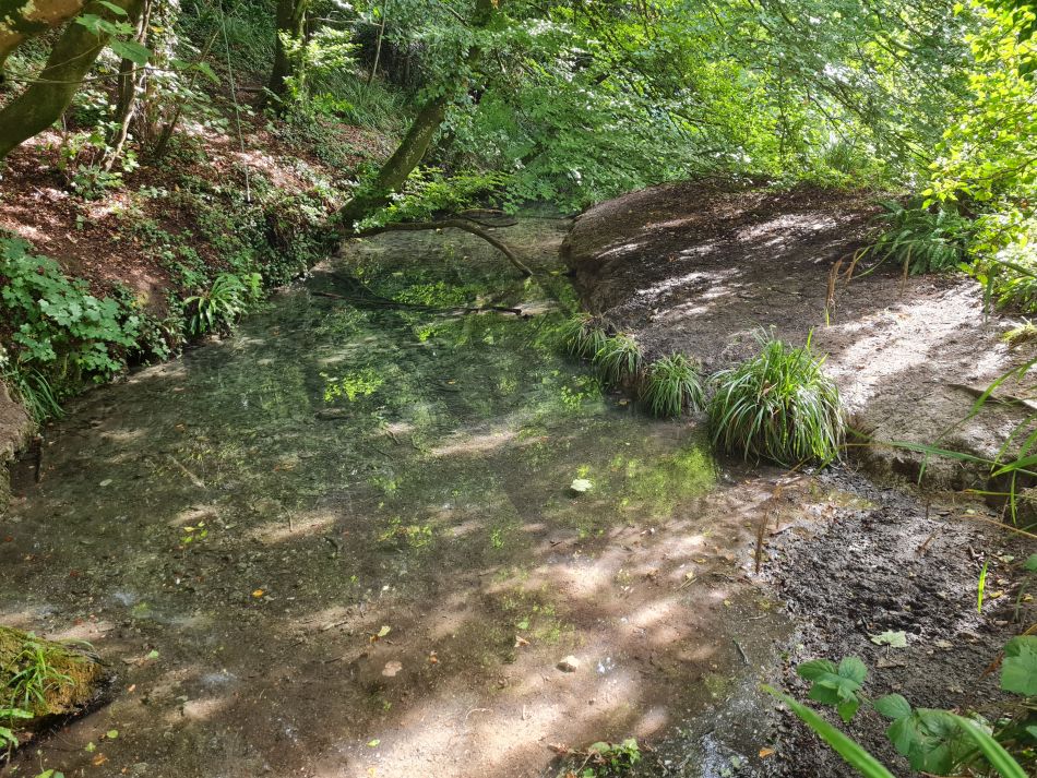 2022-09-22 28 Calstone Down.jpg