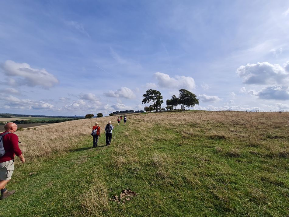 2022-09-22 32 Calstone Down.jpg