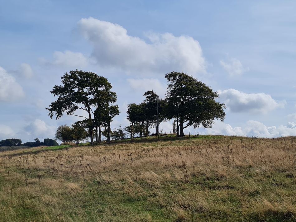 2022-09-22 33 Calstone Down.jpg