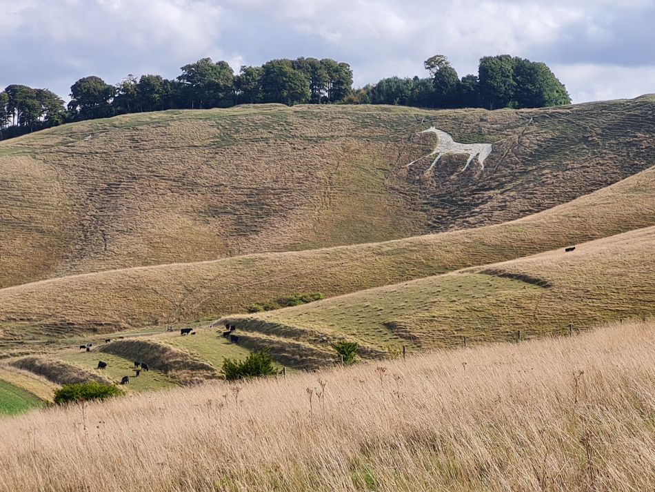 2022-09-22 35 Calstone Down.jpg