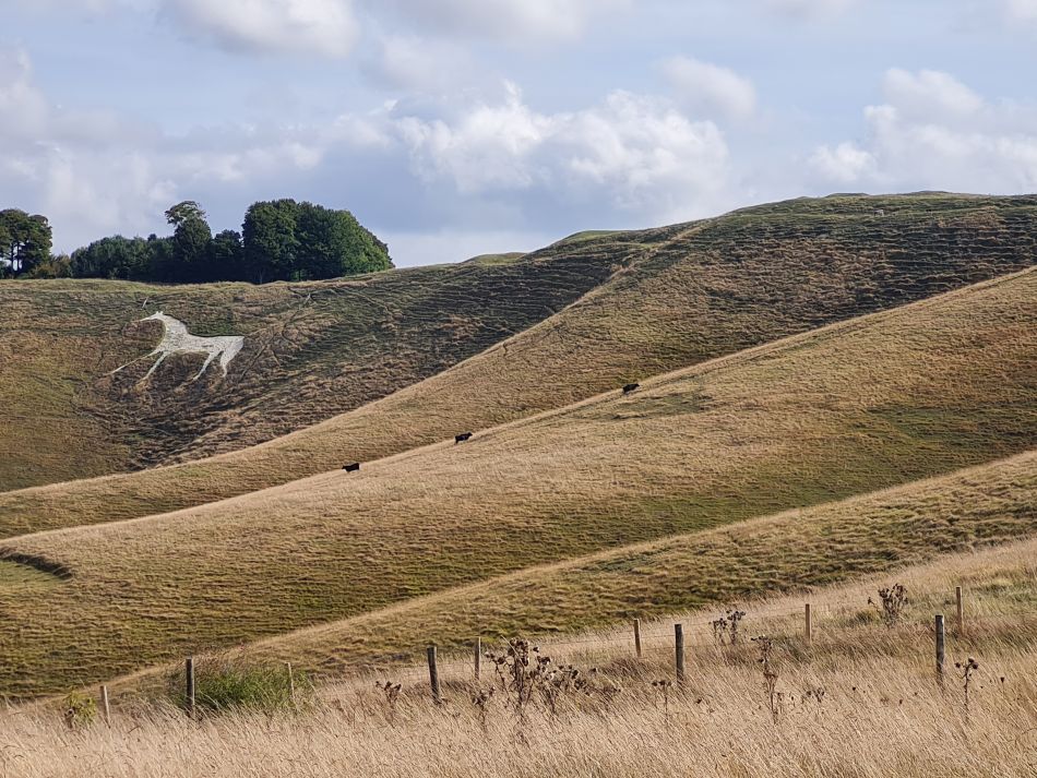 2022-09-22 38 Calstone Down.jpg