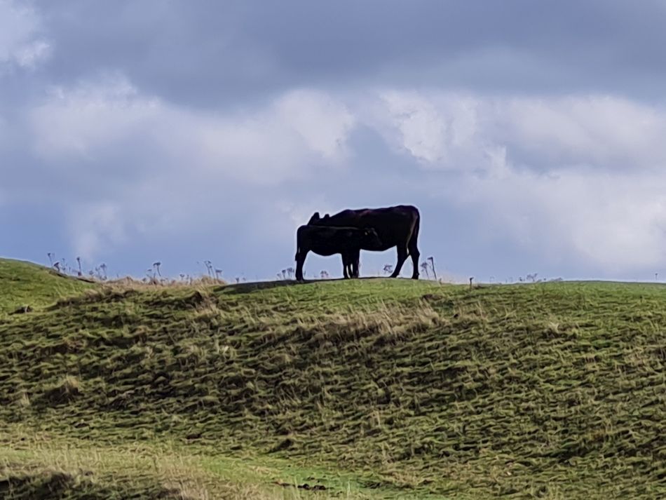 2022-09-22 44 Calstone Down.jpg