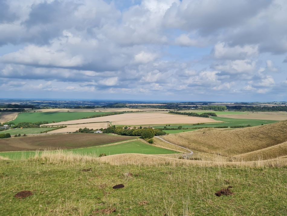 2022-09-22 46 Calstone Down.jpg