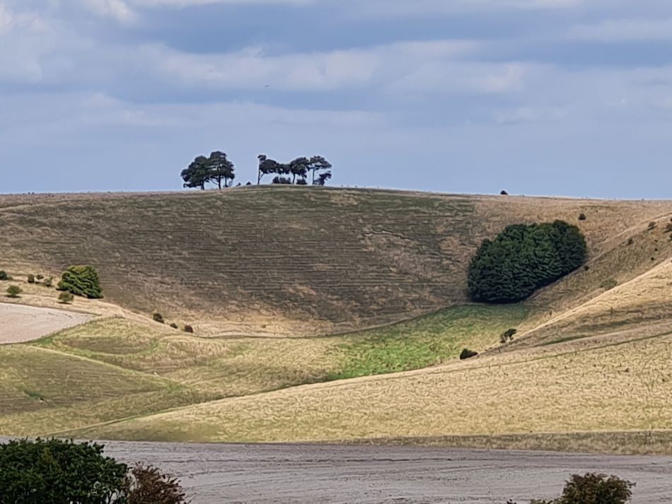 2022-09-22 58 Calstone Down.jpg