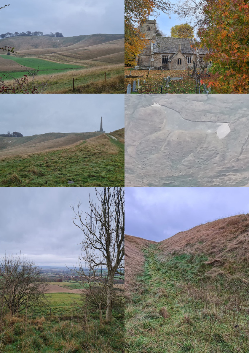 2022-09-22 98 Image.jpg