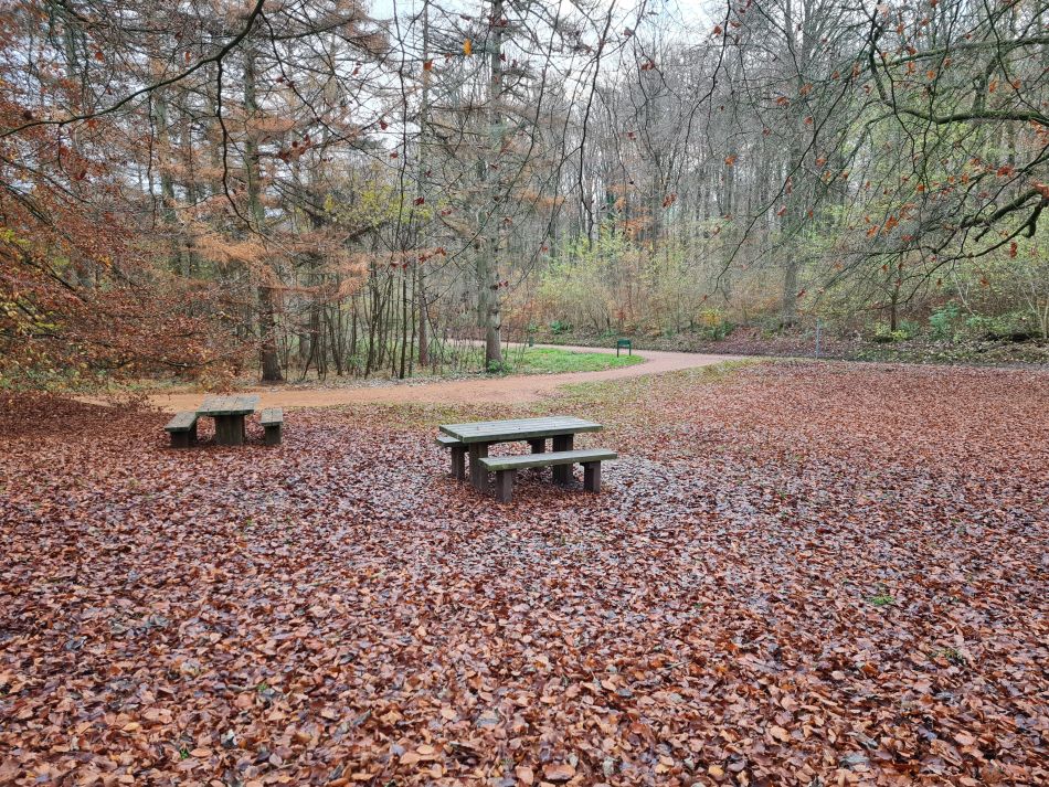 2022-09-18 01 West Woods.jpg