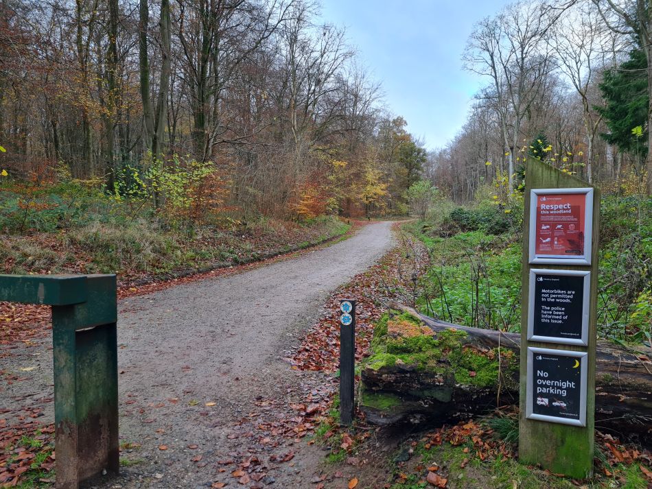 2022-09-18 03 West Woods.jpg