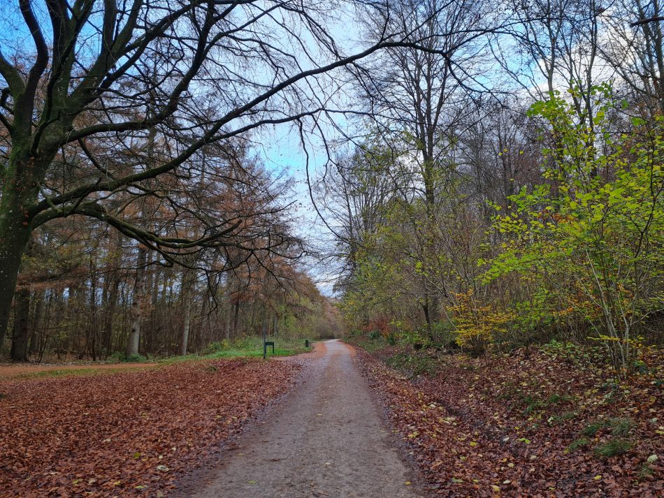 2022-09-18 04 West Woods.jpg