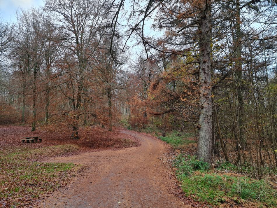 2022-09-18 05 West Woods.jpg