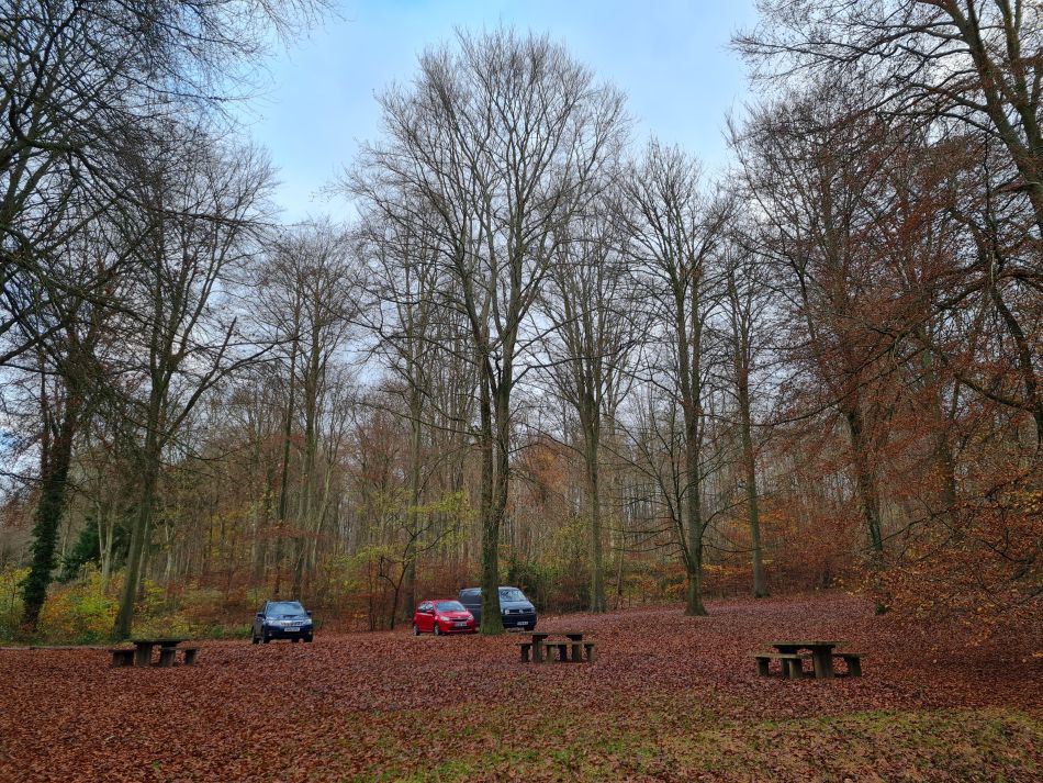 2022-09-18 06 West Woods.jpg