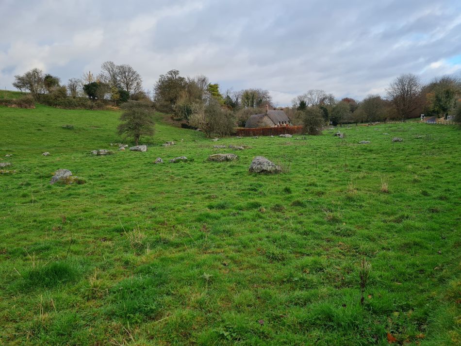 2022-09-18 07 West Woods.jpg