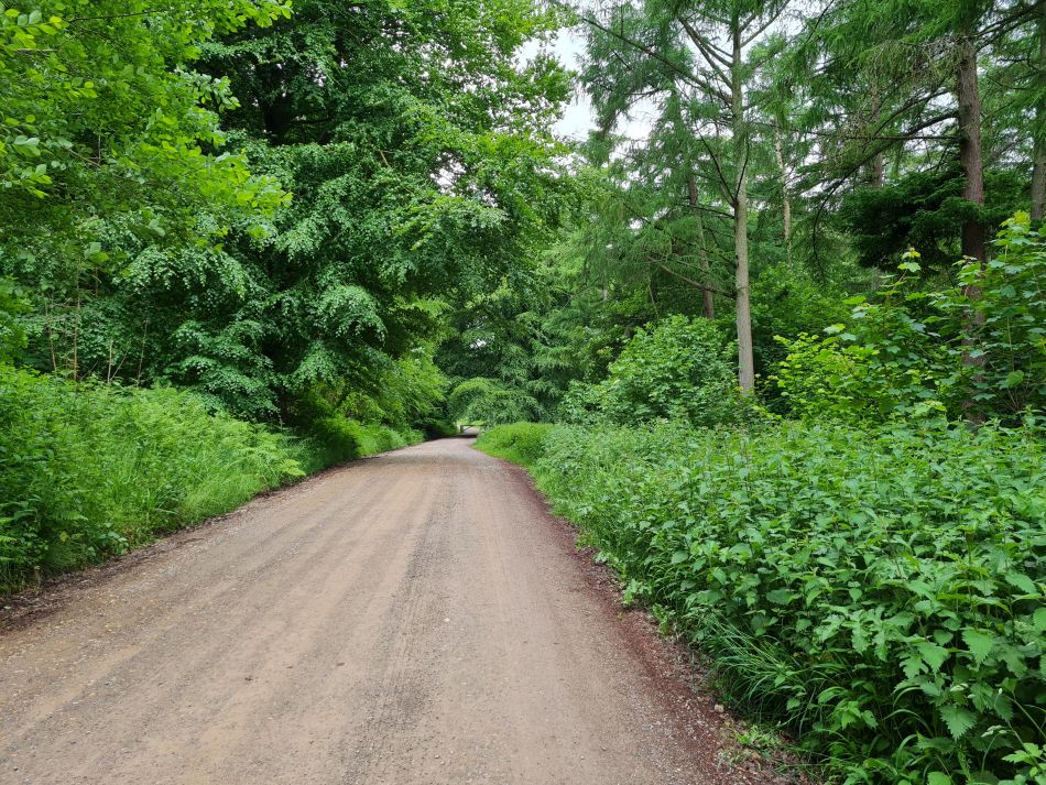 2022-09-18 09 West Woods.jpg