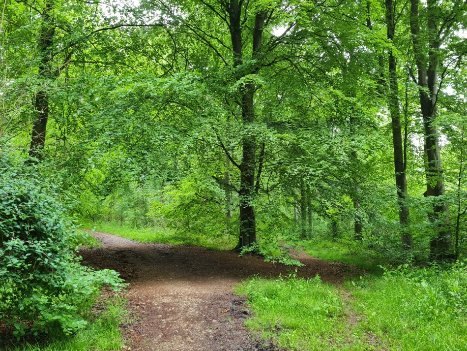 2022-09-18 11 West Woods.jpg