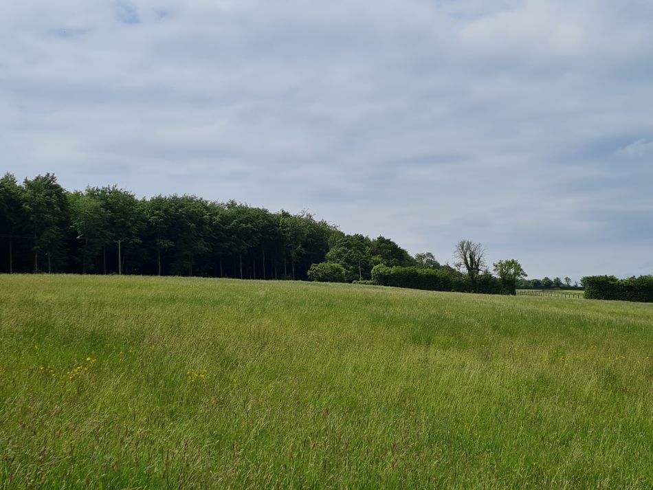 2022-09-18 17 West Woods.jpg