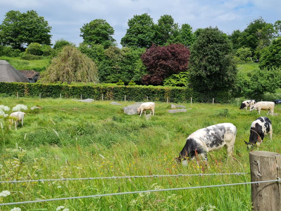 2022-09-18 19 West Woods.jpg