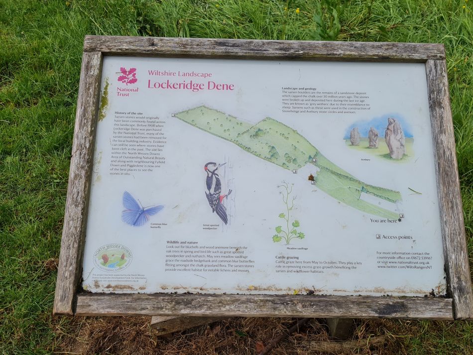 2022-09-18 21 West Woods.jpg