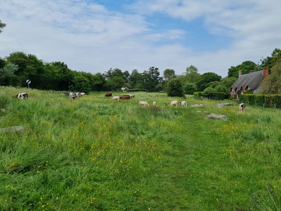 2022-09-18 22 West Woods.jpg