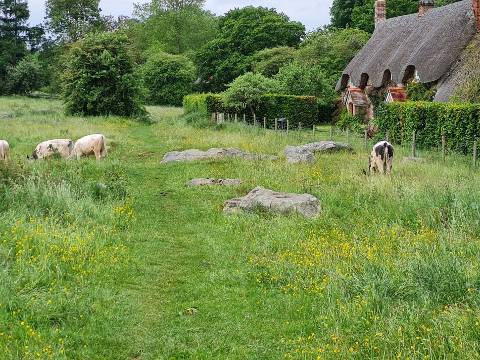 2022-09-18 23 West Woods.jpg