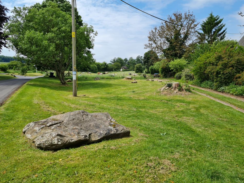 2022-09-18 25 West Woods.jpg