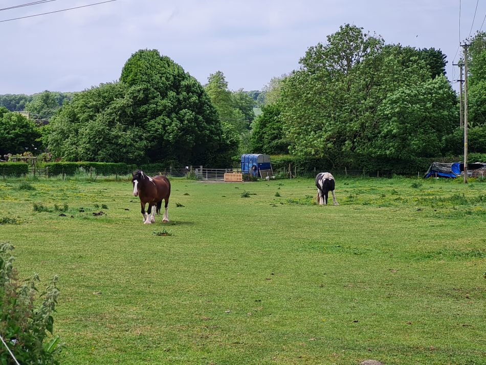 2022-09-18 31 West Woods.jpg