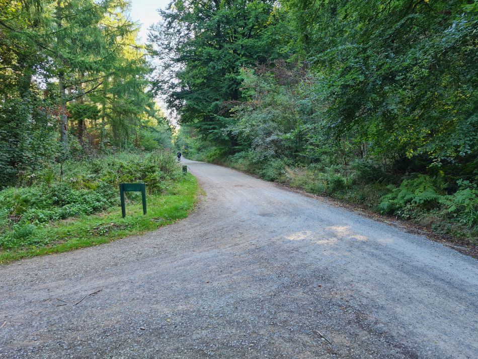 2022-09-25 01 West Woods.jpg