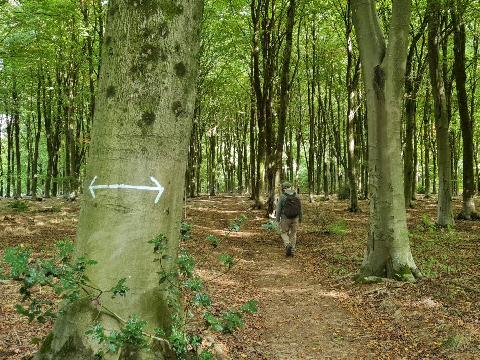 2022-09-25 11 West Woods.jpg