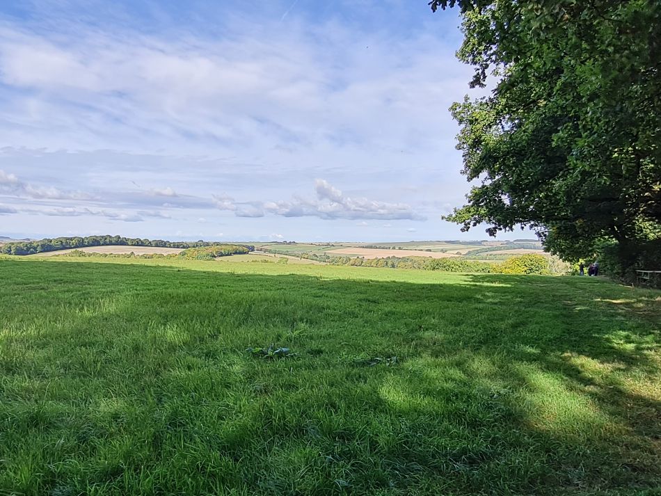 2022-09-25 12 West Woods.jpg