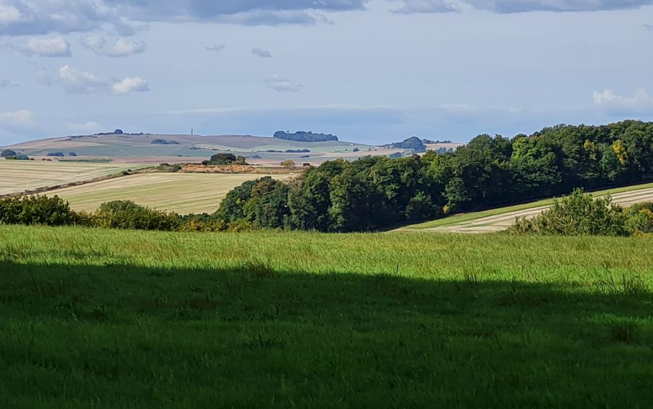 2022-09-25 13 West Woods.jpg