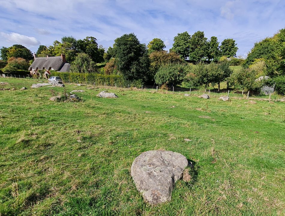 2022-09-25 14 West Woods.jpg