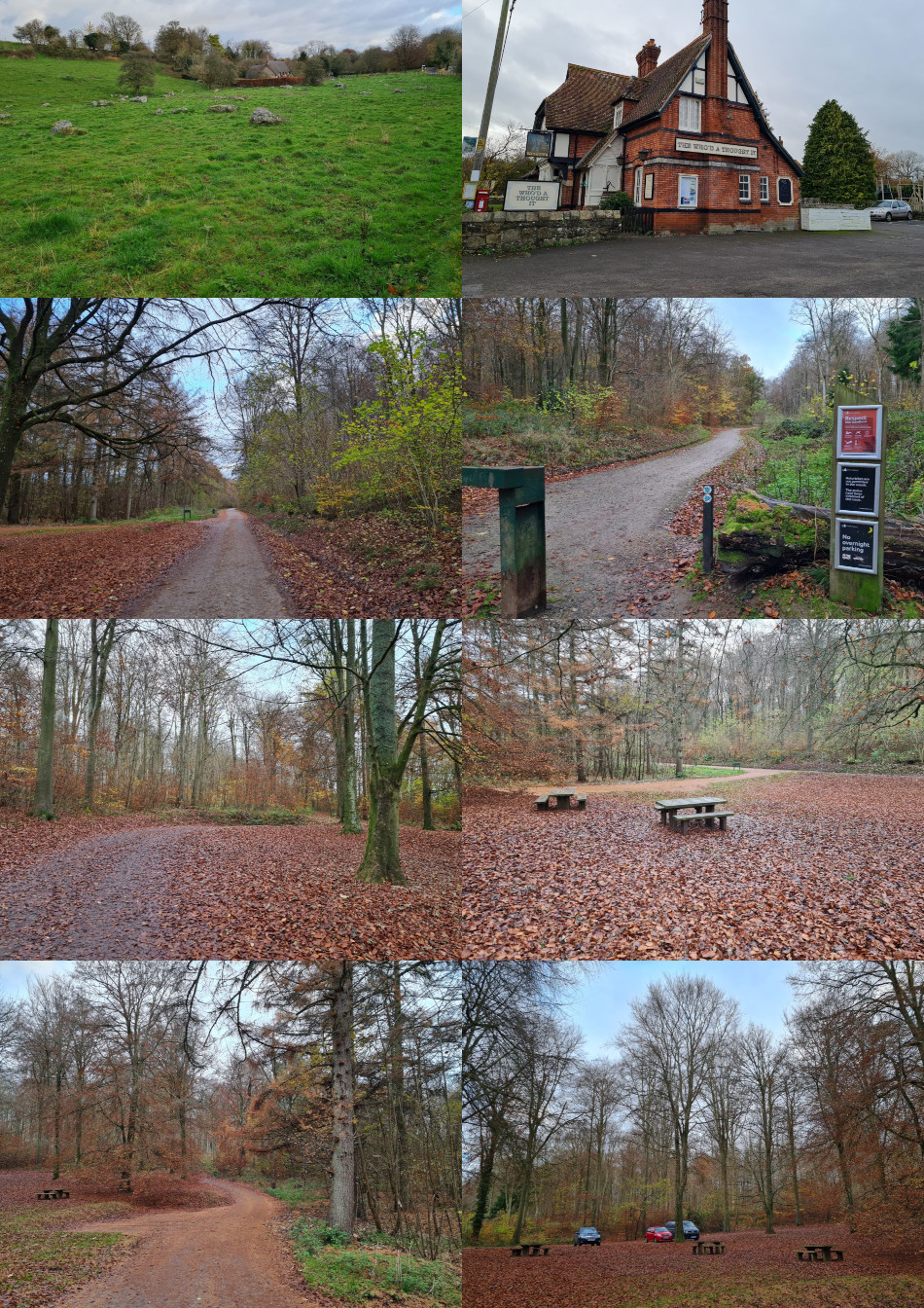 2022-09-25 98 Image.jpg