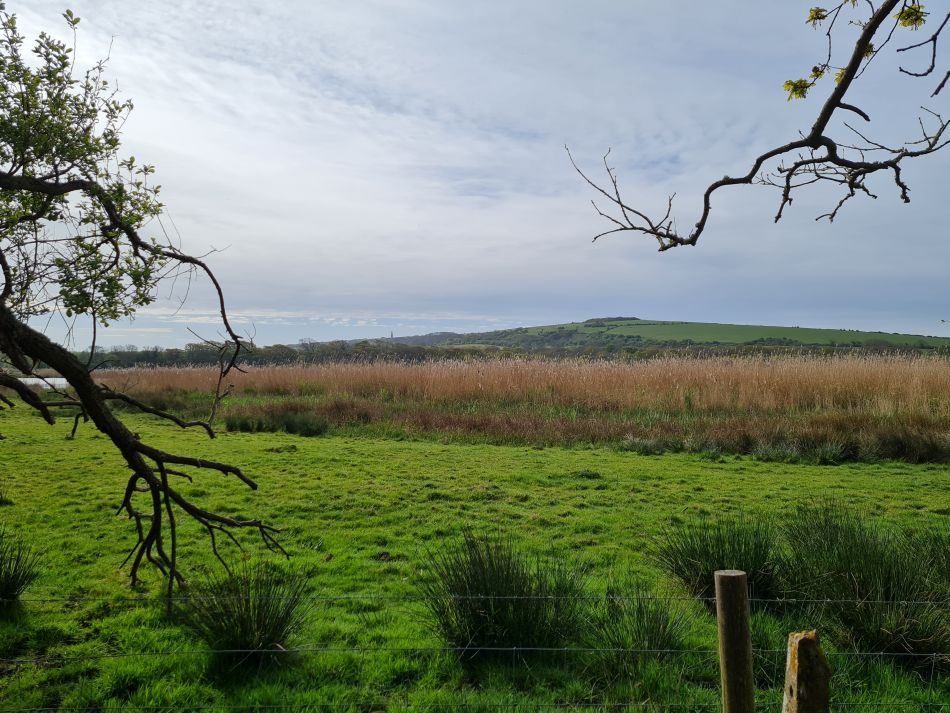 2024-04-22 17 Brading and Ryde.jpg