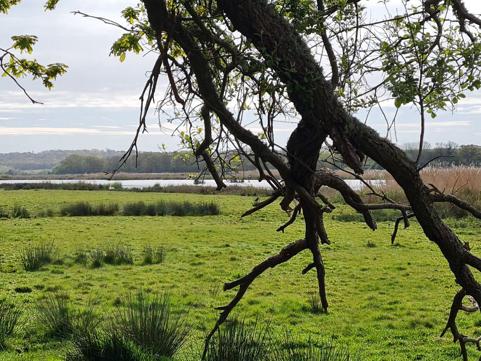 2024-04-22 18 Brading and Ryde.jpg