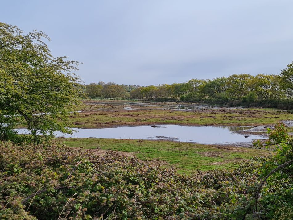 2024-04-22 19 Brading and Ryde.jpg