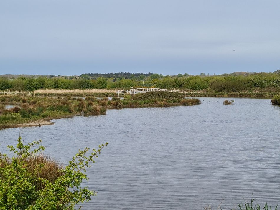 2024-04-22 22 Brading and Ryde.jpg