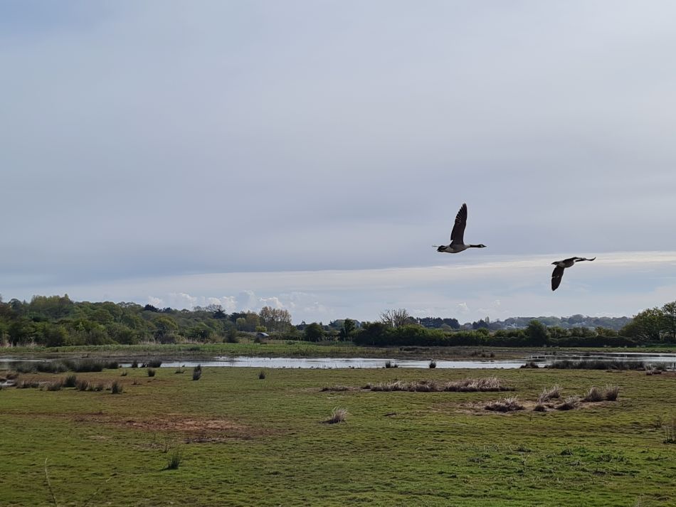 2024-04-22 23 Brading and Ryde.jpg