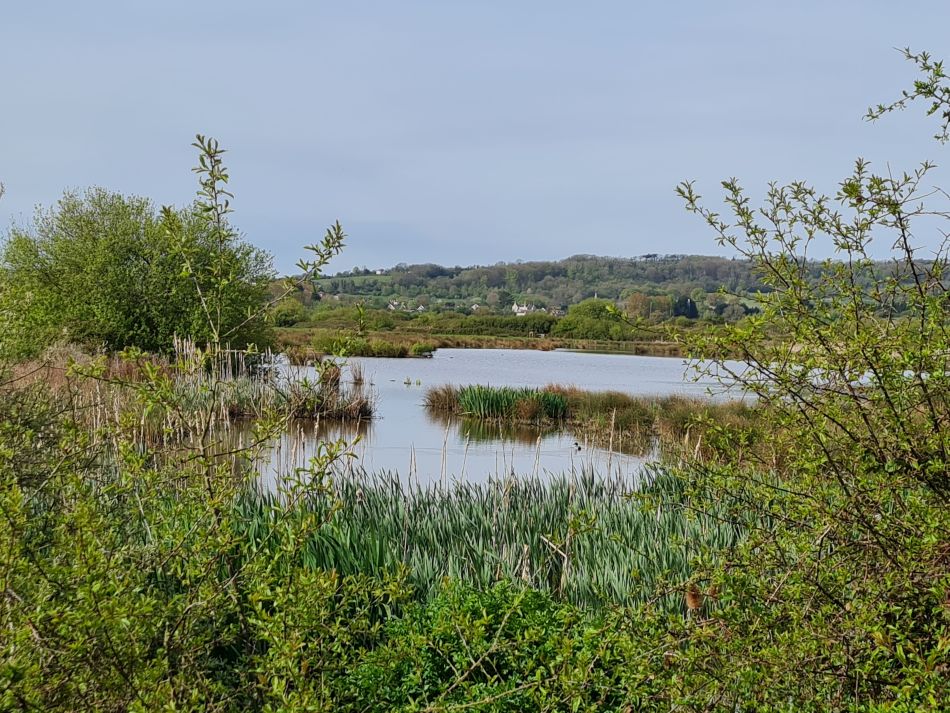 2024-04-22 24 Brading and Ryde.jpg