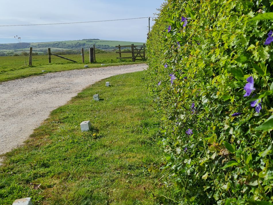 2024-04-22 27 Brading and Ryde.jpg