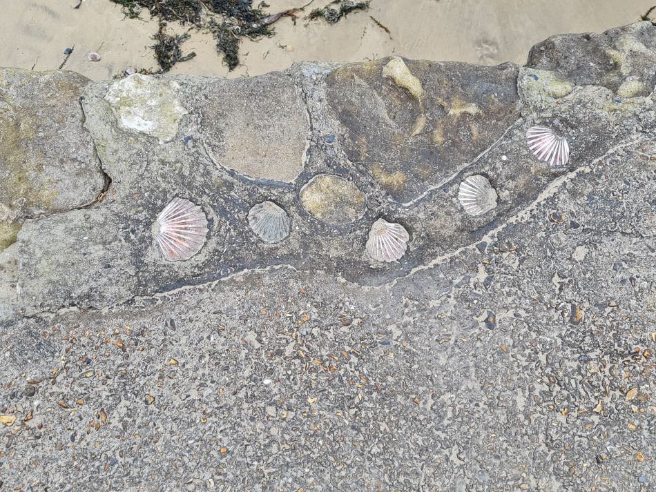 2024-04-22 46 Brading and Ryde.jpg