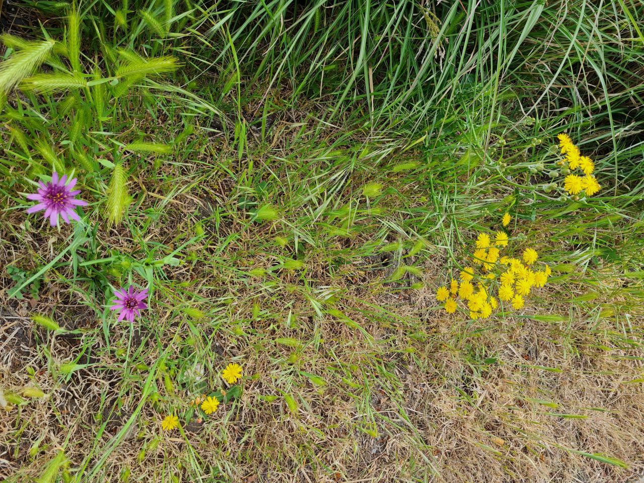 2025-05-13 01 Historic Portsmouth.jpg