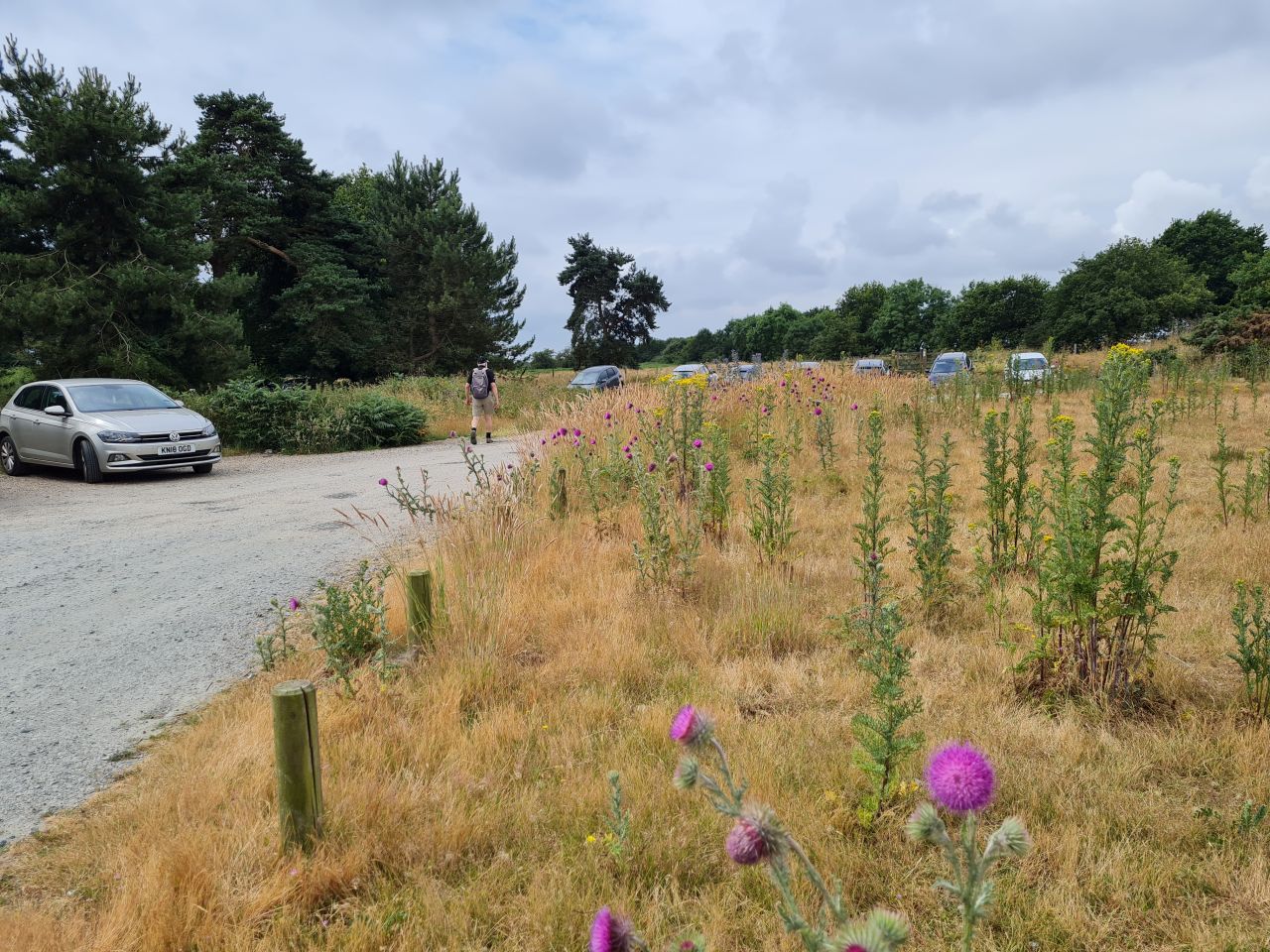 2024-06-30 01 Sutton Hoo.jpg