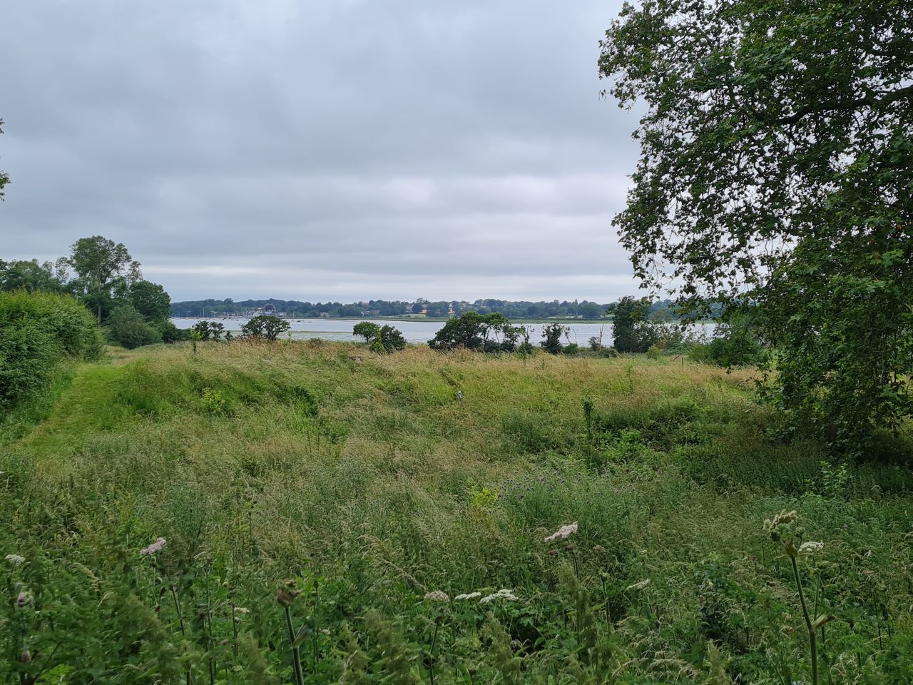 2024-06-30 07 Sutton Hoo.jpg