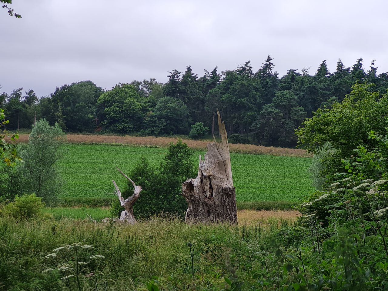 2024-06-30 08 Sutton Hoo.jpg