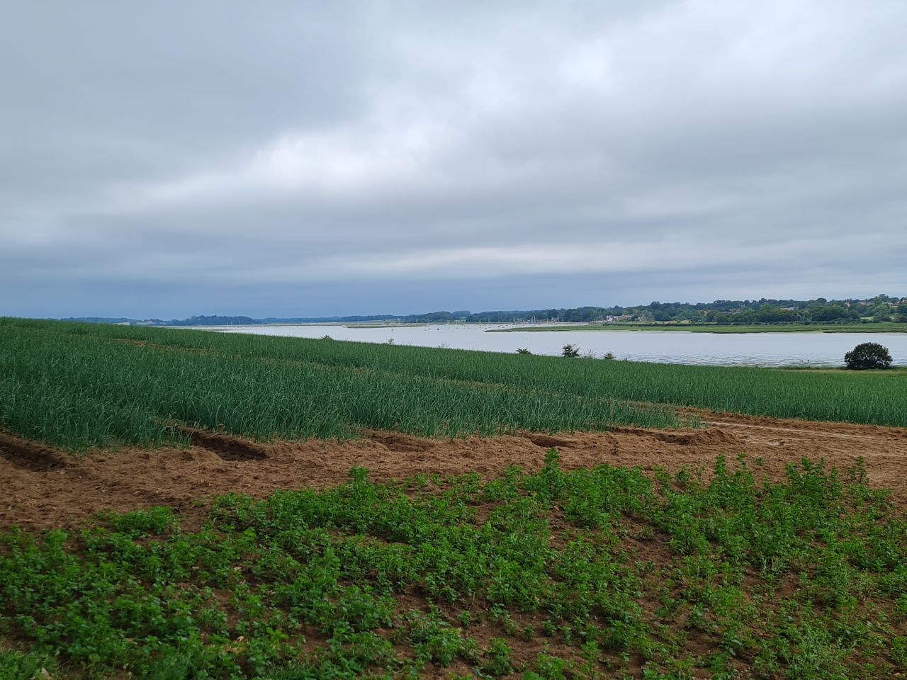2024-06-30 10 Sutton Hoo.jpg