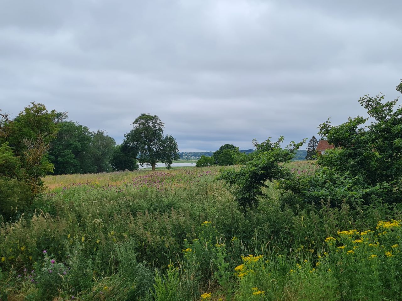 2024-06-30 12 Sutton Hoo.jpg