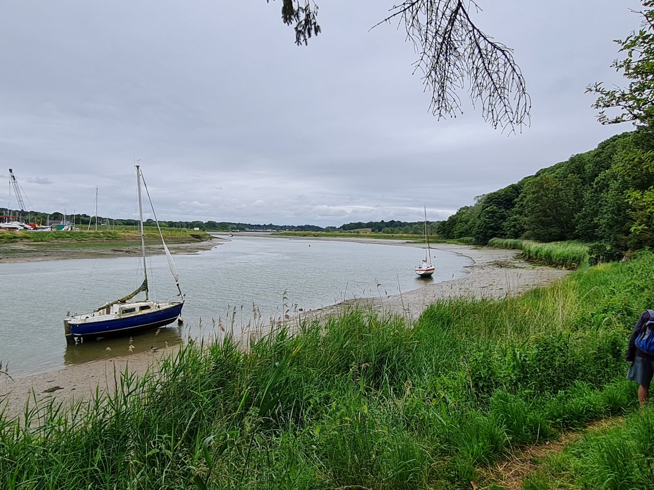 2024-06-30 16 Sutton Hoo.jpg