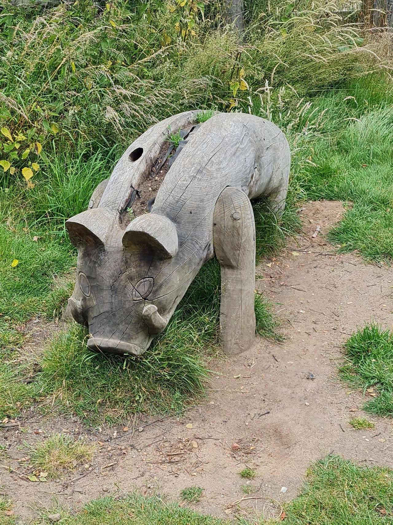 2024-06-30 18 Sutton Hoo.jpg