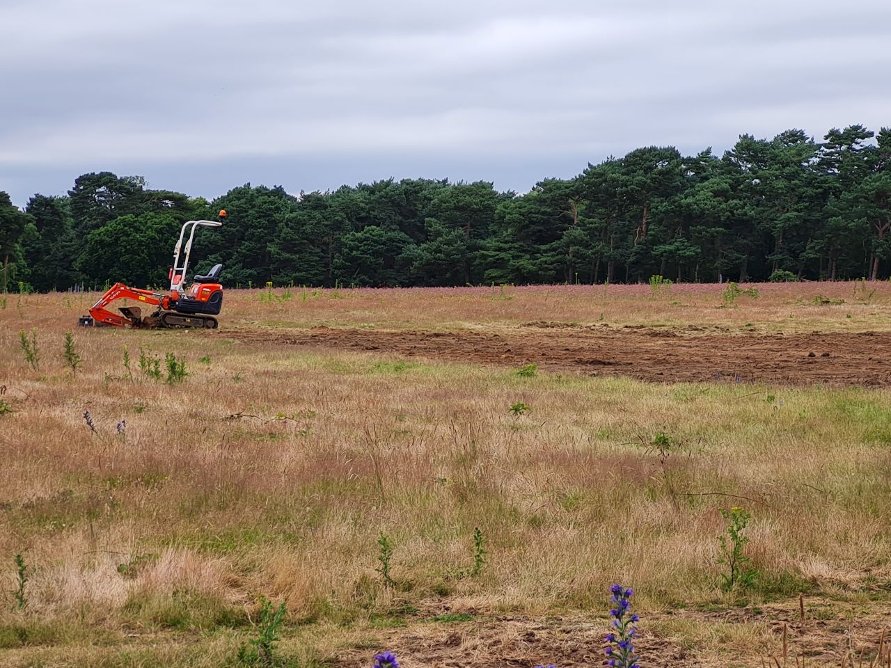 2024-06-30 20 Sutton Hoo.jpg